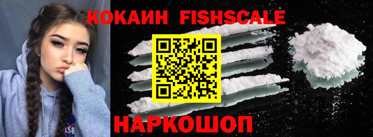 наркошоп  Вход с VPN  Cocaine  Заводоуковск  КОКАИН Fish Scale  Cocaine 98% 