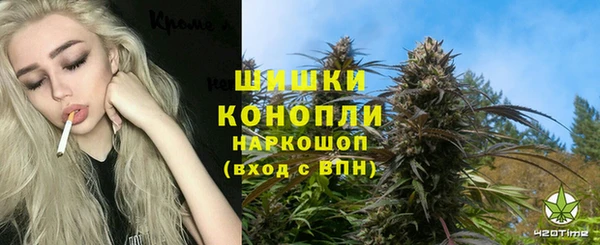 a pvp Алзамай