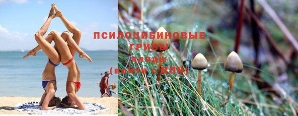 a pvp Алзамай