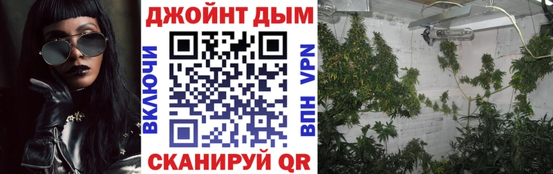 Шишки марихуана SATIVA & INDICA  это состав  Заводоуковск 